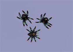 Assorted Plastic Spider