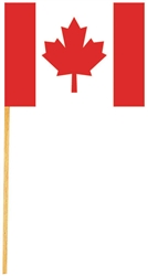 Canadian Flag Picks | Canadian Themed Party Supplies