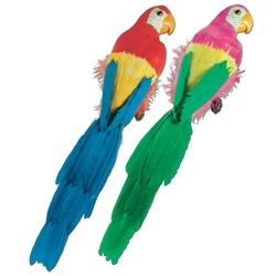 Feathered Parrots