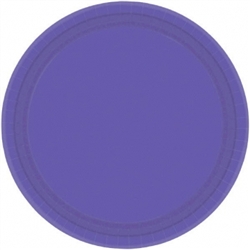 New Purple 10-1/2" Paper Plates - 20ct | Party Supplies