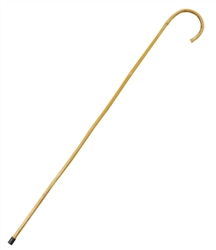 Walking Cane | Party Supplies