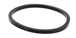 Neptune O-Ring Gasket