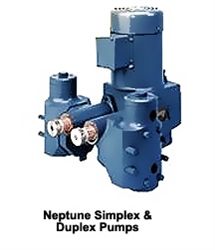 Neptune Simplex and Duplex Pumps