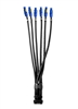 Elite Core SOCAPEX 19 PIN to  6 Channel PowerCON A (Blue) Connectors 5 ft Breakout Cable, SOCO-BO-A-5