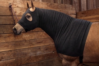 EQUI-Hood Heavy-Weight