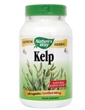 Nature's Way Kelp (100)