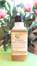 Astragalus membranaceus (1:3 Ratio) - 500ml Large Tincture