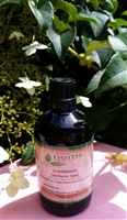 Elderberry (Sambucus nigra) - 100ml Organic Tincture