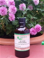 Red Clover (Trifolium pratense) - 100ml Organic Tincture