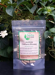 Valerian Root (Valeriana officinalis) - 100x Pure Herbal Capsules