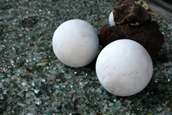 White decorative lawn art balls