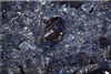 Dark Steel Blue Fire Crystal