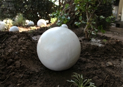 Garden and Lawn Art balls