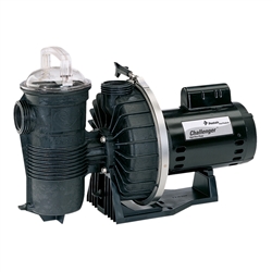 Pentair 345205 Challenger Pool Pump