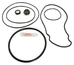 Whisperflo Pump Seal Kit