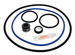 Hayward Northstar Pump Seal Kit