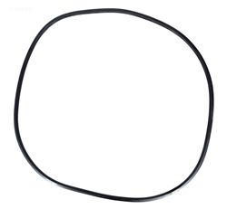 Pentair FNS Filter O-Ring 195008