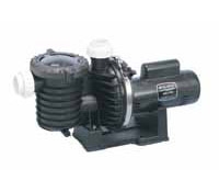 StaRite MaxEPro Pool Pump P6RA6G-207L