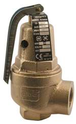 Not For Potable Use Valve Relief 1.25 75PSI Bronze