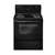 Black 30 Free Standing Electric Self Cleaning Range