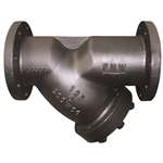 2-1/2 Cast Iron 125# Flanged Perforated .062 Wye Strainer