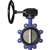 8 Ductile Iron Stainless Steel Buna 255# Lug Butterfly Valve Gear Operator