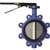 2-1/2 Ductile Iron Stainless Steel Buna 255# Lug Butterfly Valve