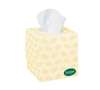 Surpass Facial Tissue 2 Ply White