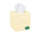 Surpass Facial Tissue 2 Ply White