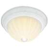 TEWH 2 Light 60 Watts A 19 Flush Frost Mel