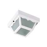 White 1 60 Watts A 19 Flush Mount