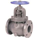 Not For Potable Use 4 Cast Iron 125# Flanged Globe