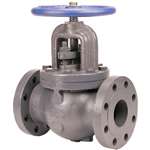 Not For Potable Use 4 Cast Iron 250 # Flanged Globe