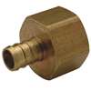 Lead Law Compliant 1/2 Barbed X FPT Brass Non Swivel Adapter