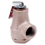 Not For Potable Use 3/4 30# Water Pressure Relief Valve