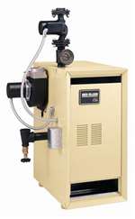 CGI Gold LP Hot Water Boiler 167000 BTU