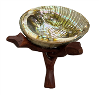 Abalone Shell with Tripod Stand Set