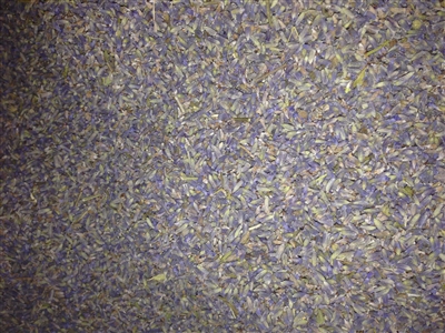 Lavender Flower Buds SUPER BLUE GRADE