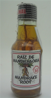 Mandrake Root (Raiz de Mandragora)
