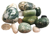 Tumbled Tree Agate Stones - 1 Pound