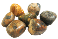 Tumbled Leopard Jasper Stones - 1 Pound