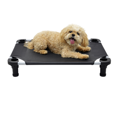 4 Legs 4 Pets  22" x 22" x 5" Small Premium Square Elevated Dog Bed Cot