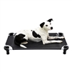 4 Legs 4 Pets  22" x 22" x 5" Small Premium Square Elevated Dog Bed Cot