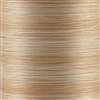 01V - Silk Variegated #100  1000 Yd