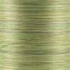 03V - Silk Variegated #100  1000 Yd