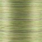 03V -Silk #100 - Variegated Greens 200m