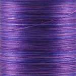 06V - Silk #100 - Variegated Purples 200m