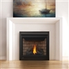 Napoleon B35 Direct Vent Gas Fireplace Ascent Series