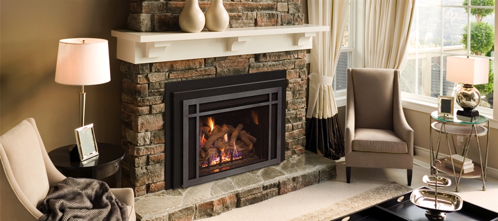 R.H. Peterson Fireplace Gas Insert DVIT-36i