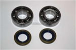 BEARING AND SEAL KIT